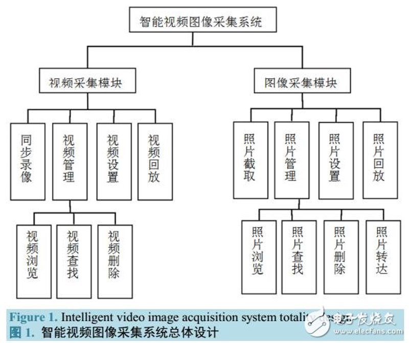 金边土元养殖:全面解析与实操指南
